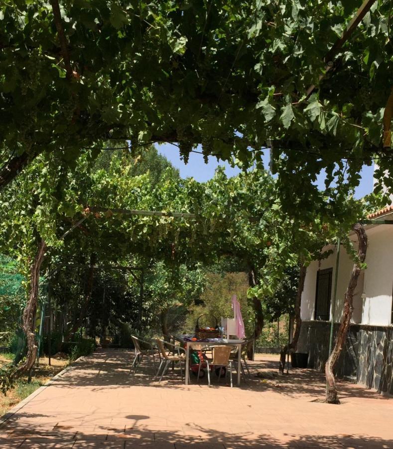 알하마데그라나다 Casa De Ines 빌라 외부 사진